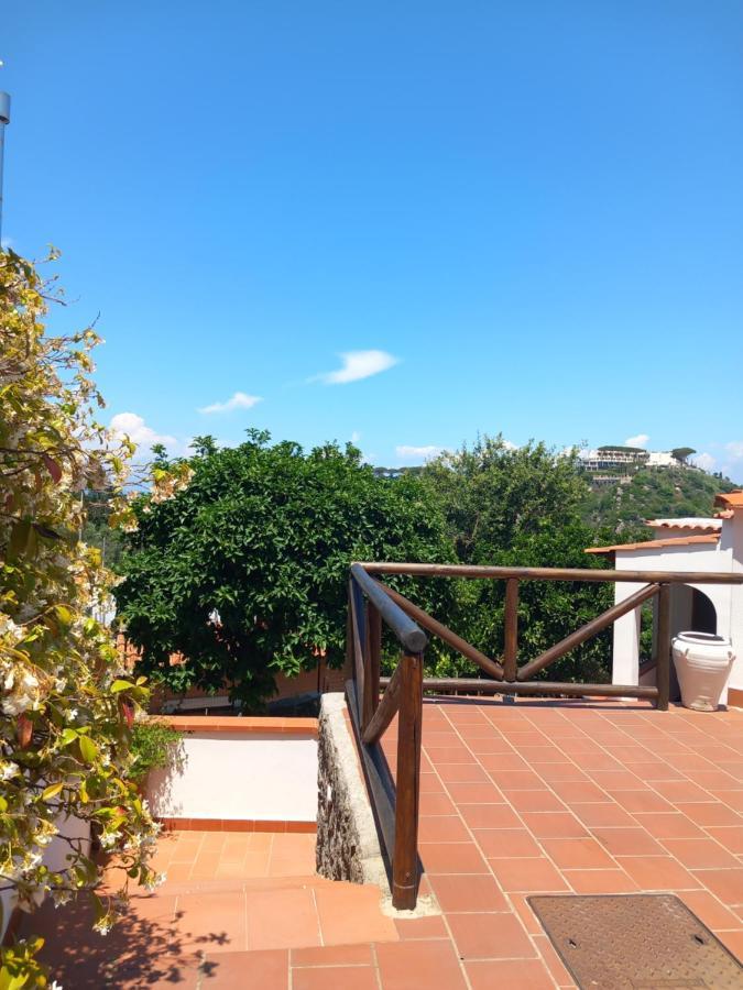 Forio di Ischia Villetta Panoramica מראה חיצוני תמונה