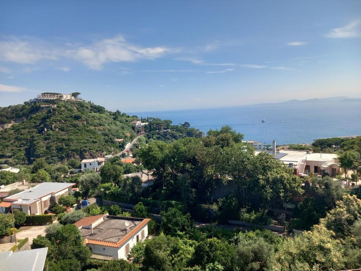 Forio di Ischia Villetta Panoramica מראה חיצוני תמונה